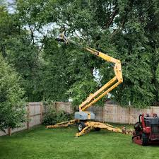 Best Arborist Consultation Services  in Rice, MN